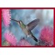 Topný obraz - Kolibřík