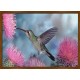 Topný obraz - Kolibřík