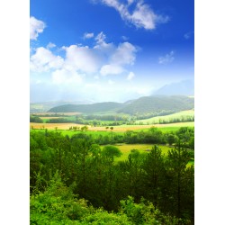 Topný obraz - Zelené panorama