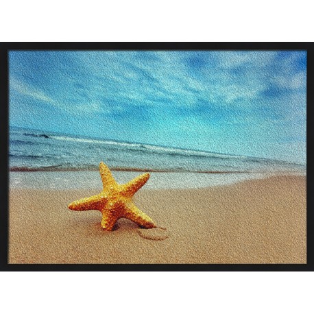 Topný obraz - Mořská hvězdice