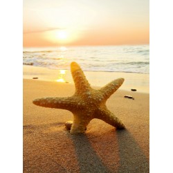 Topný obraz - Mořská hvězdice v písku
