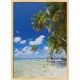 Topný obraz - Tropická pláž