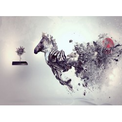 Topný obraz - Abstraktní zebra