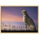 Topný obraz - Gepard