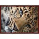 Topný obraz - Leopard