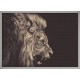 Topný obraz - Černobílý lev