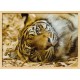 Topný obraz - Ležící tygr