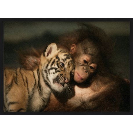 Topný obraz - Tygří a opičí mládě