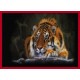 Topný obraz - Tygr sumaterský