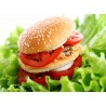 Topný obraz - Hamburger