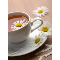 Topný obraz - Heřmánkový čaj