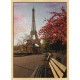 Topný obraz - Eiffelova věž