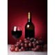 Topný obraz - Degustace vína