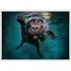 Topný obraz - Pes pod vodou