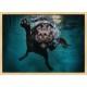 Topný obraz - Pes pod vodou