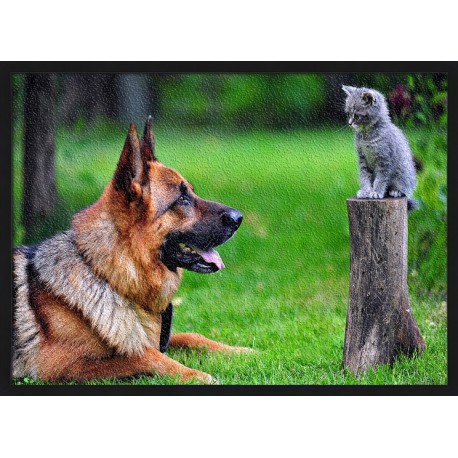 Topný obraz - Pes a kočka