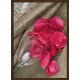 Topný obraz - Plátky růže