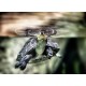 Topný obraz - Vodní želva