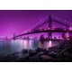 Topný obraz - Most Manhattan