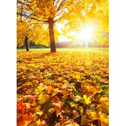 Topný obraz - Podzim
