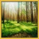 Topný obraz - Lesní ráj