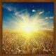Topný obraz - Slunce nad polem