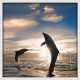 Topný obraz - Skákající delfíni