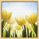 Topný obraz - Tulipány