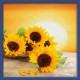 Topný obraz - Květy slunečnic