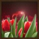 Topný obraz - Valentýnské růže