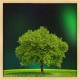 Topný obraz - Zelený strom