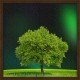 Topný obraz - Zelený strom