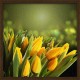 Topný obraz - Žluté tulipány