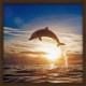 Topný obraz - Delfín při západu slunce