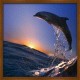 Topný obraz - Delfín ve vlnách