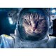 Topný obraz - Kočičí kosmonaut