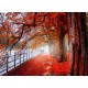 Topný obraz - Červený podzim