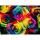Topný obraz - Barevné růže