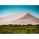 Topný obraz - Písečné duny