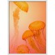 Topný obraz - Oranžové medúzy