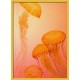 Topný obraz - Oranžové medúzy
