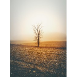 Topný obraz - Podzimní strom
