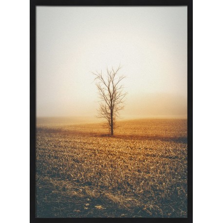 Topný obraz - Podzimní strom