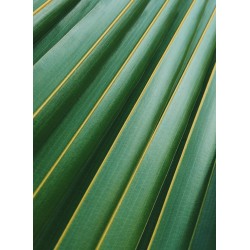 Topný obraz - Listová harmonie