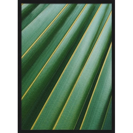 Topný obraz - Listová harmonie