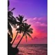 Topný obraz - Palmový soumrak