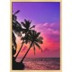 Topný obraz - Palmový soumrak