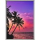 Topný obraz - Palmový soumrak