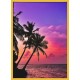 Topný obraz - Palmový soumrak