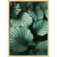 Topný obraz - Tropické listí